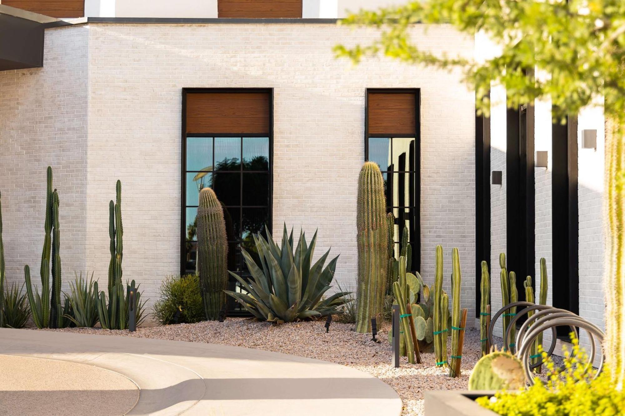 Senna House Hotel Scottsdale, Curio Collection By Hilton 外观 照片